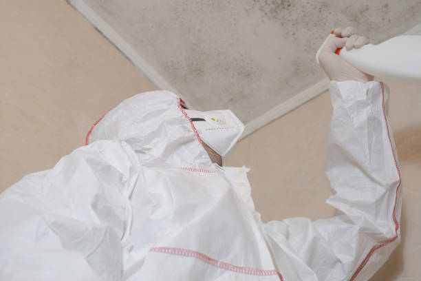 Mold Documentation for Insurance Claims in Richland, PA